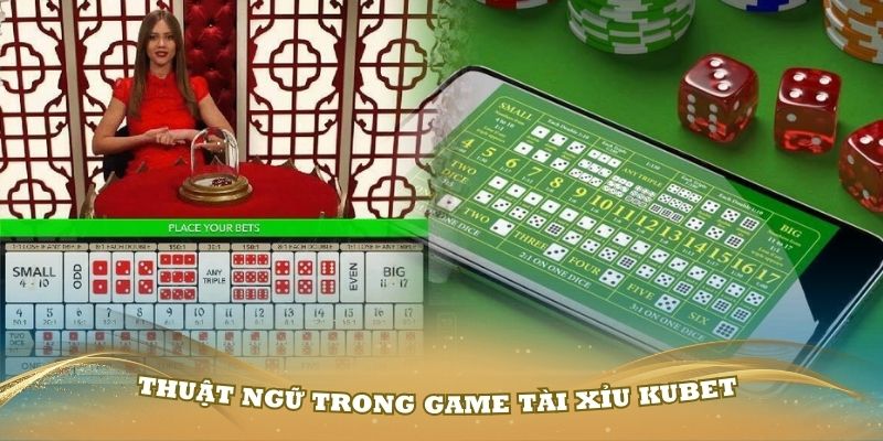 Nắm vững các thuật ngữ trong game tài xỉu Kubet